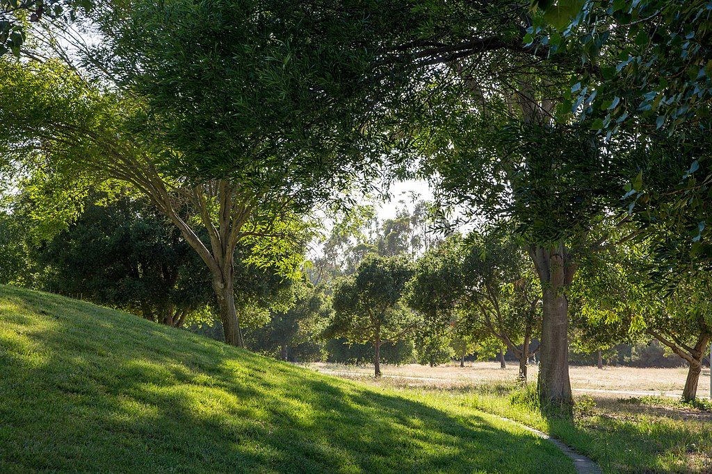 Landscape of Baylands Park