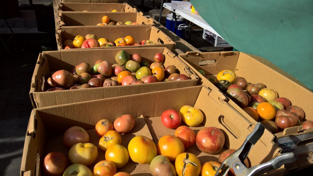 Tomatoes for sale at Sunnyvale Farmers' Market