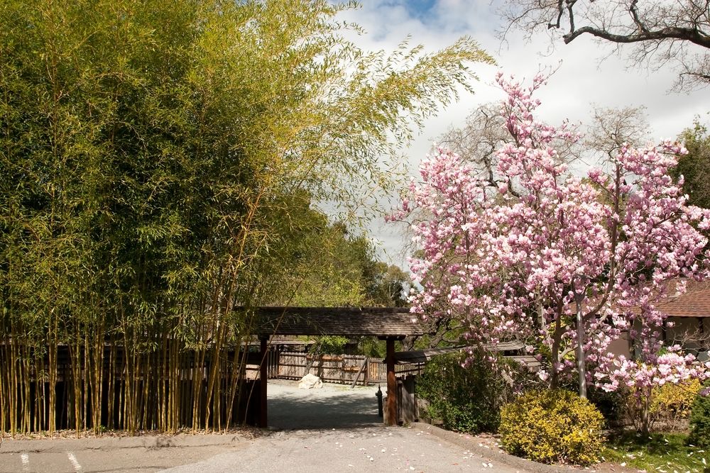 Entrance to Hakone Estate and Gardens