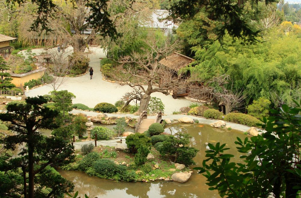 Daytime view of Hakone Estate and Gardens