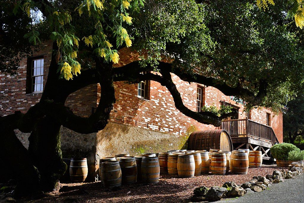 Wooden barrels at Picchetti Winery