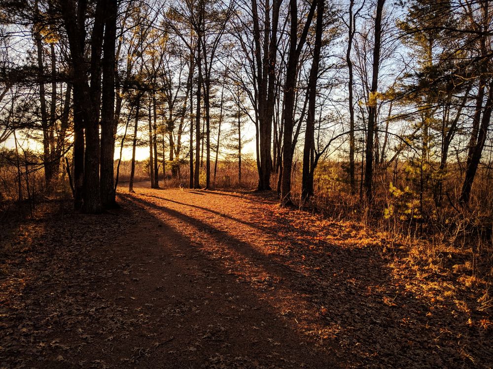 Green Circle trail in Stevens Point, Wisconsin