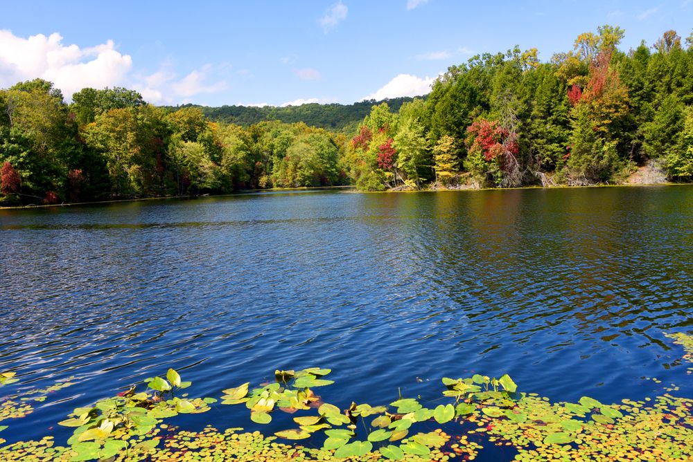 Scenic View at Bays Mountain Park and Planetarium