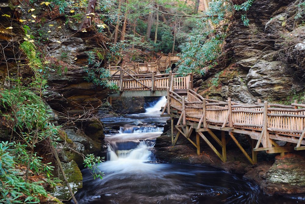 A trail along Bushkill Falls