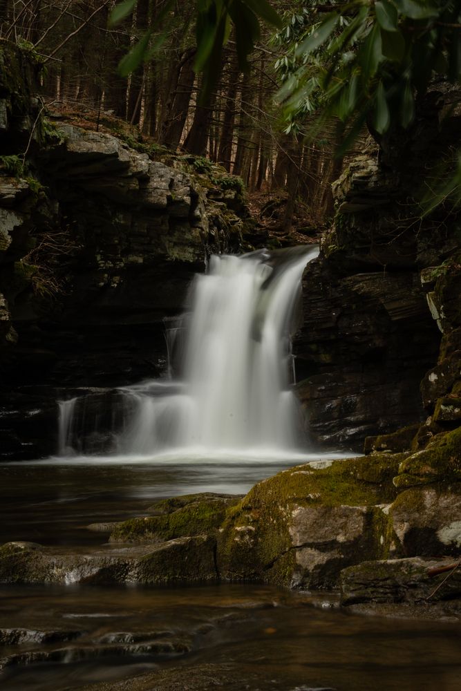 Scenic view of Hidden Rattlesnake Falls