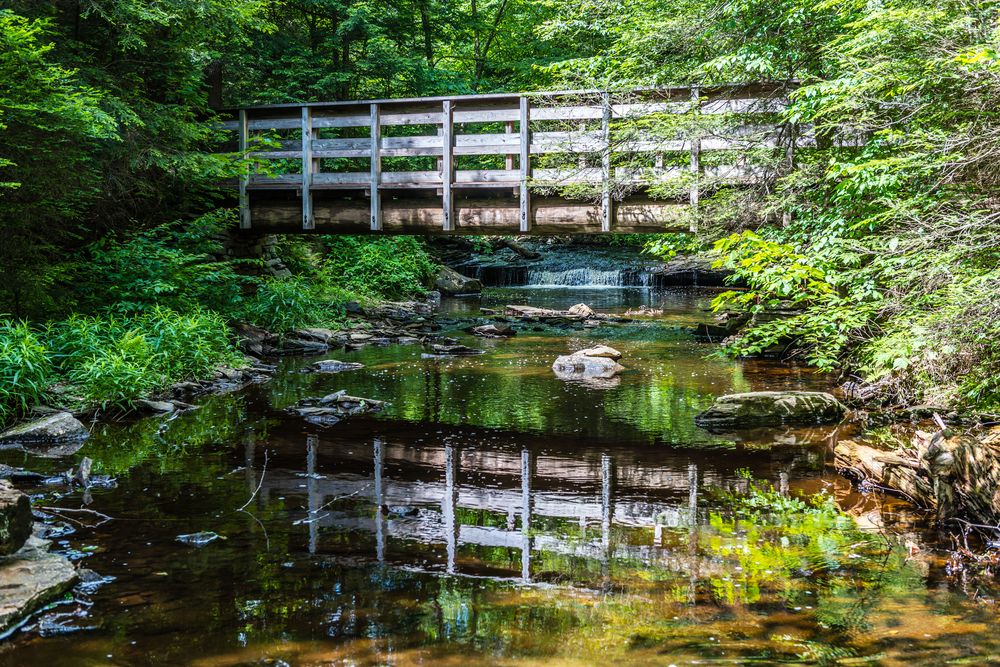 A wooden bridge in Ricketts Glen State Park