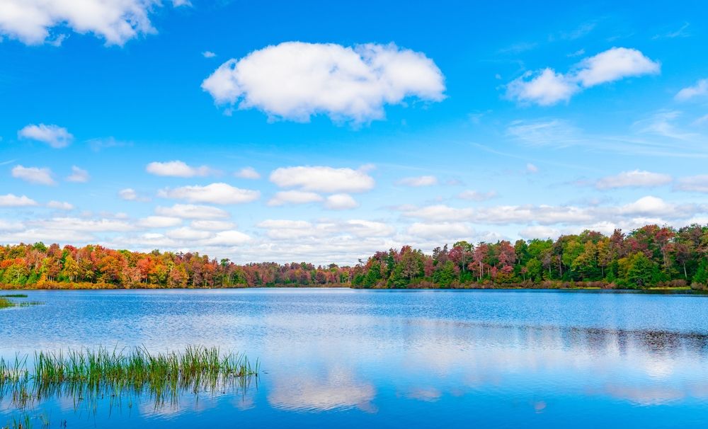 A lake in Ricketts Glen State Park