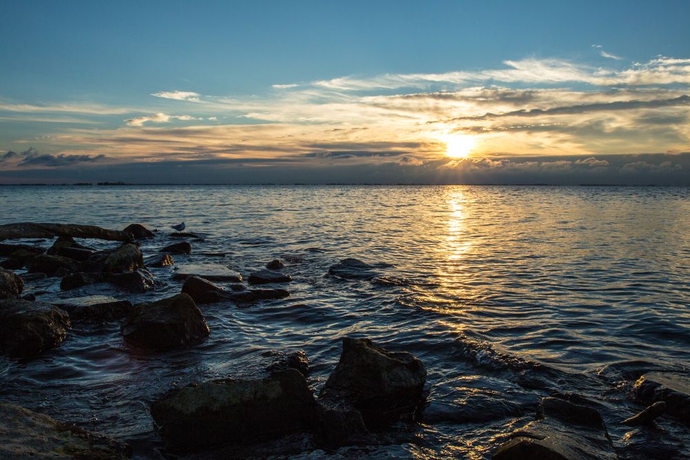 Waters of Lake St. Clair