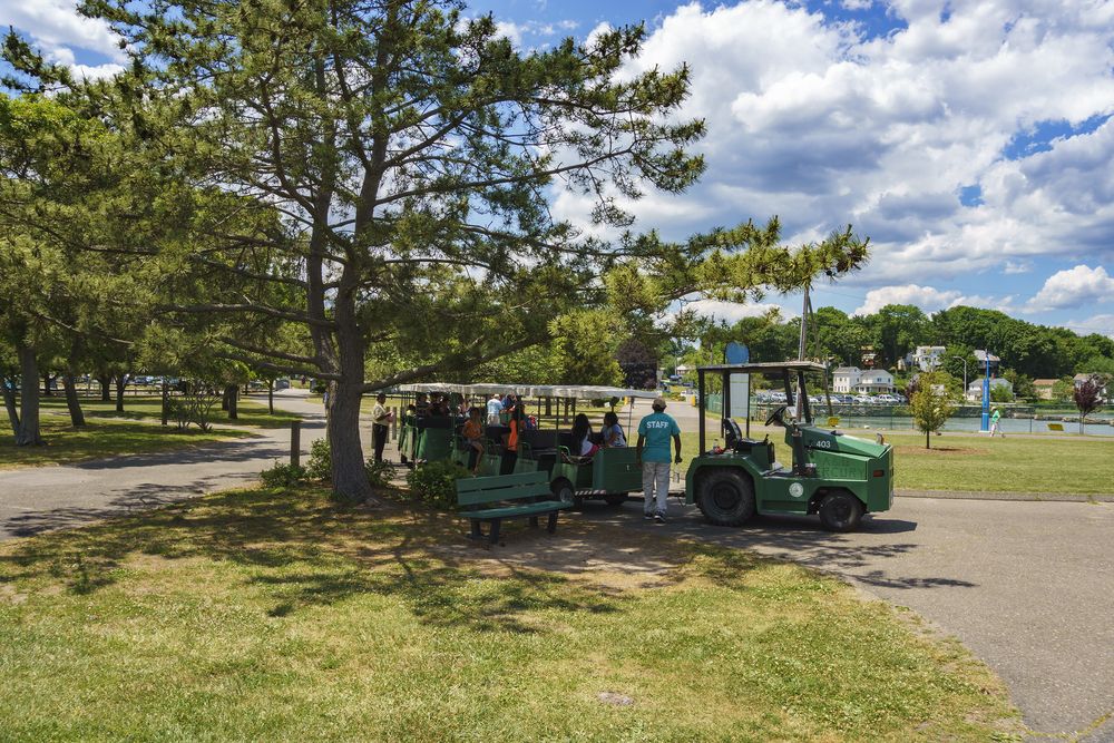 Train ride at Cove Island Park