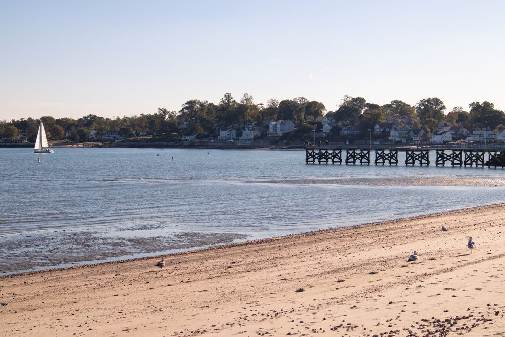 Beach at Cummings Park