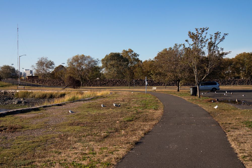 Pathway at Cummings Park