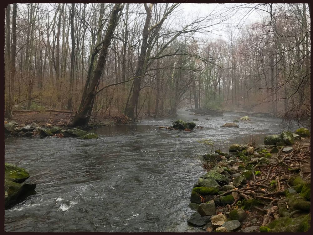 Waters of Mianus River Park