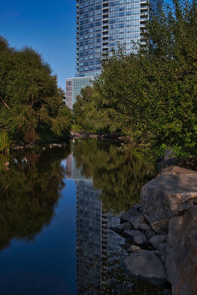 The waters of Mill River Park