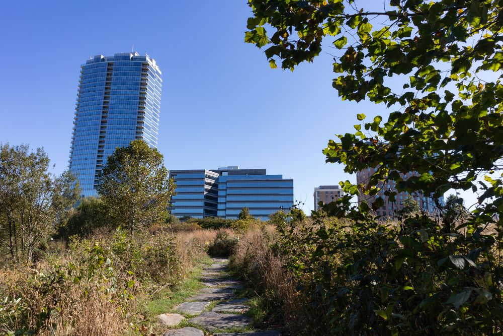A trail at Mill River Park