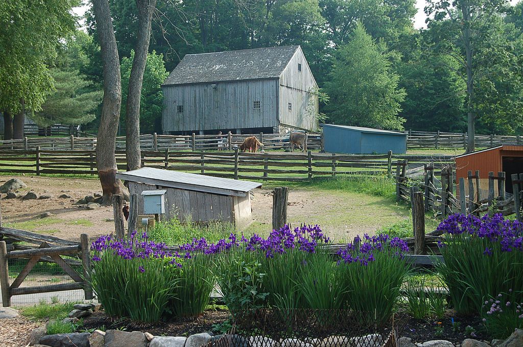 Heckscher farm at Stamford Museum and Nature Center