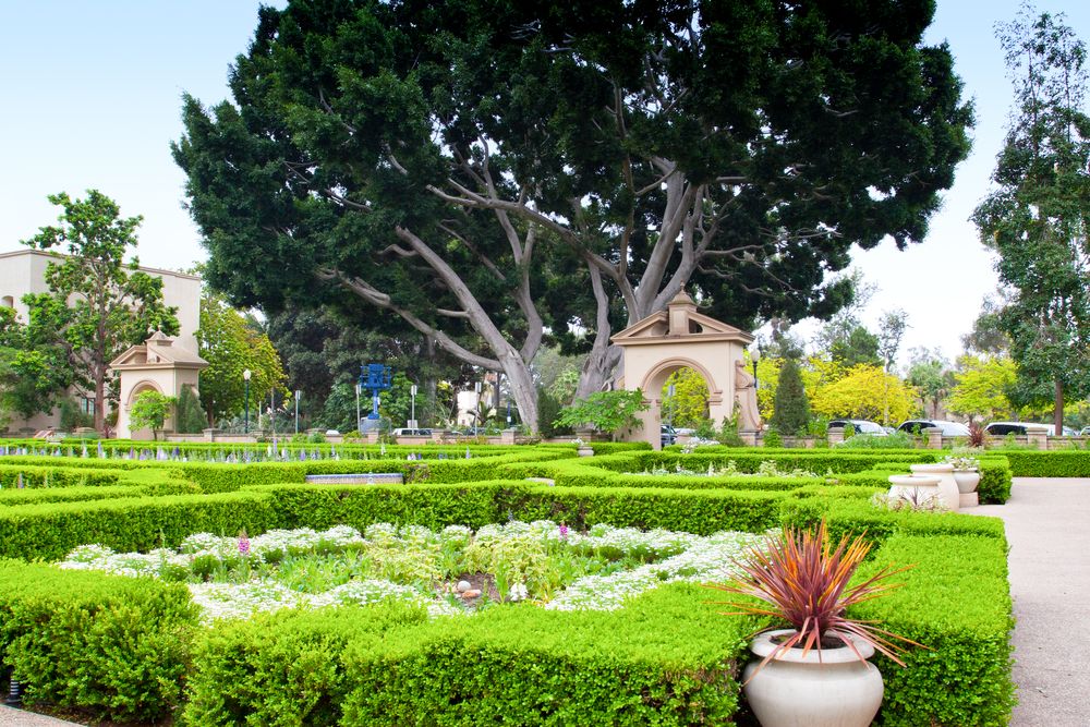 A garden at Balboa Park
