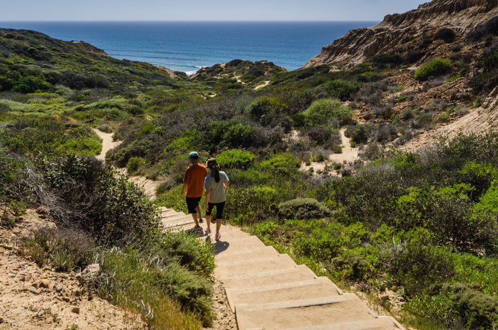 Hikers at Torrey Pines State Natural Reserve