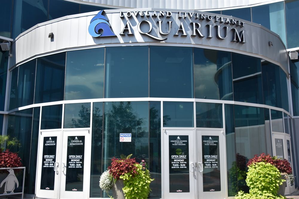 Front View of Loveland Living Planet Aquarium