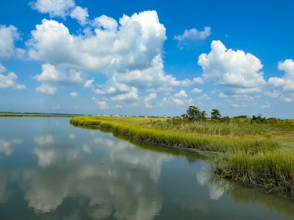Clouds reflecting on a body of water at wetlands institute.