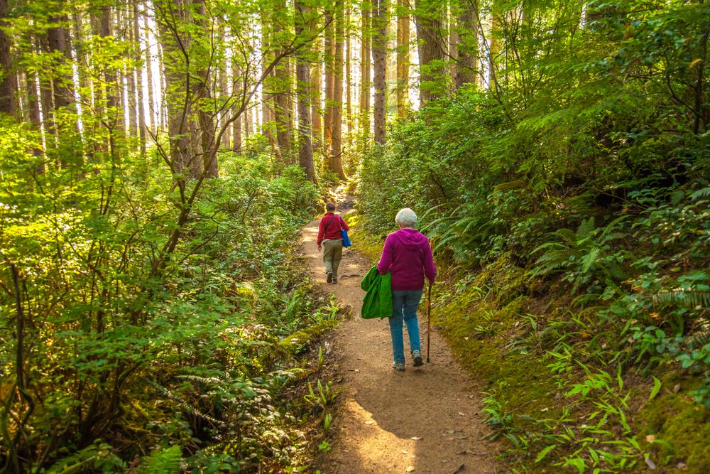 People walking along the trail of Oswald West State Park