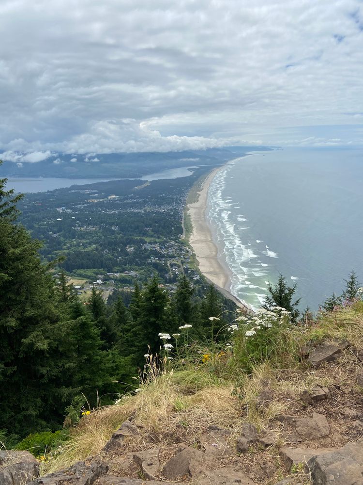 View of the Oregon coast from Oswald West State Park
