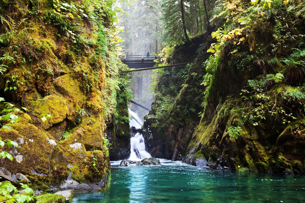 Beautiful waterfall in Sol Duc