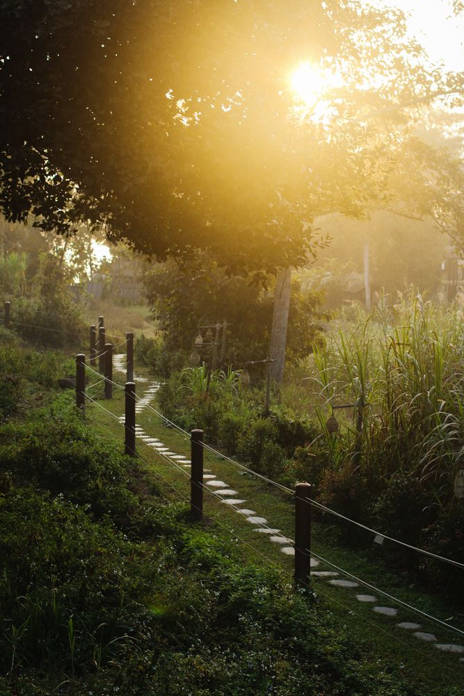 A walkway in Golden Triangle, Chiang Rai