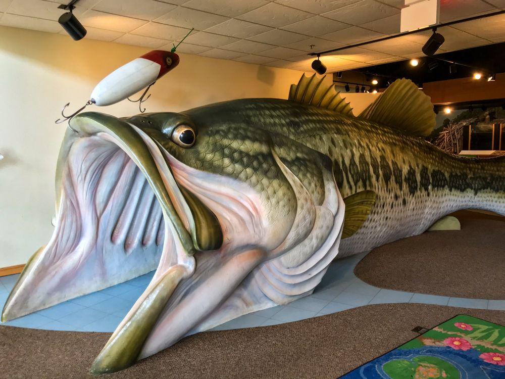 Fish sculpture at the Outdoor Campus