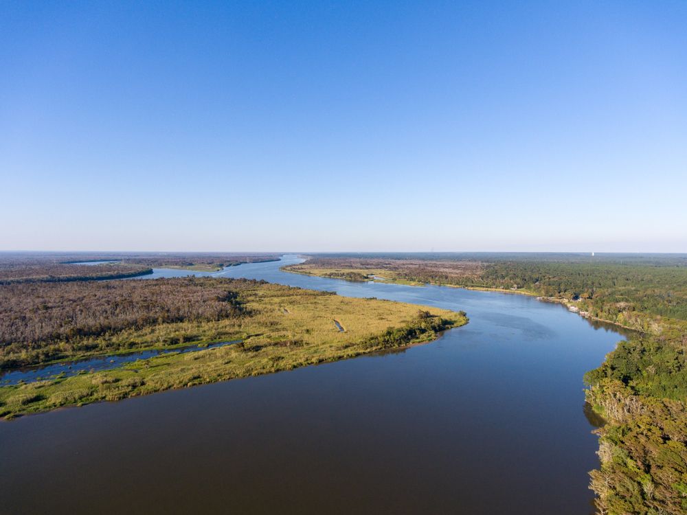 Tensaw river at Blakeley State Park