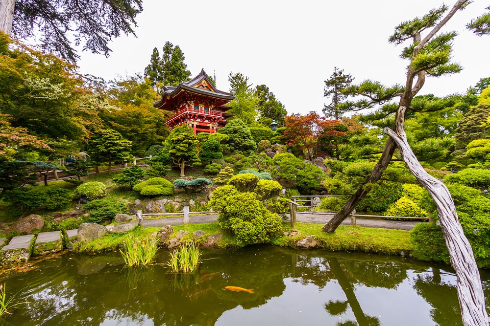 Scenic view of the Japanese Tea Garden