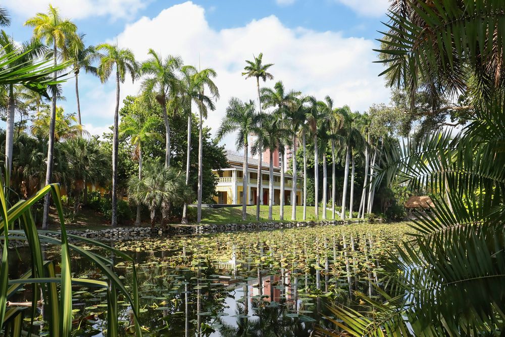 Trees and plants at Bonnet House Museum and Gardens