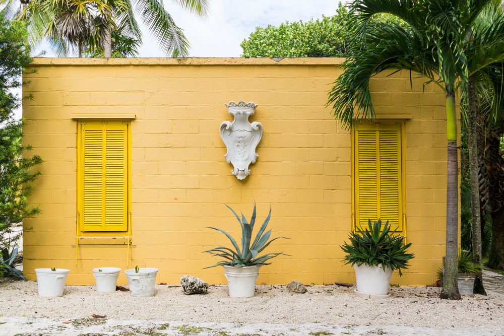 A bright wall at Bonnet House Museum and Gardens