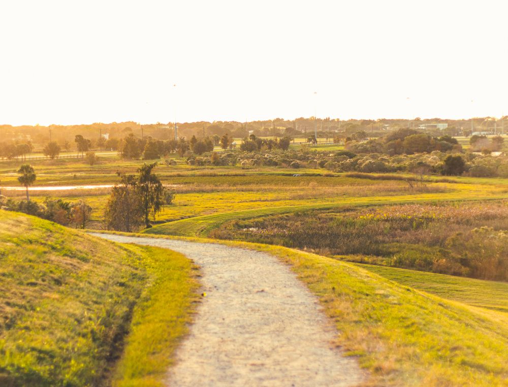Trail at Celery Fields