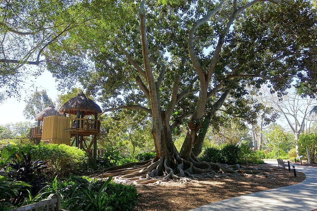 The grounds of Marie Selby Botanical Gardens