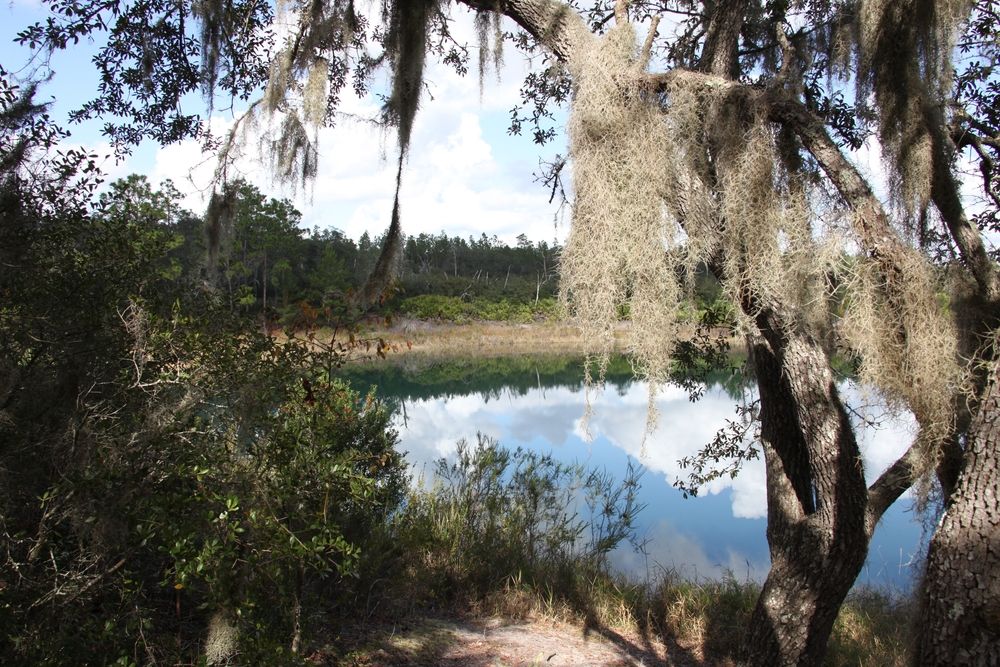 A lake at Mike Roess Gold Head Branch State Park