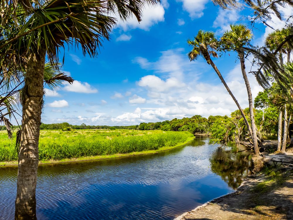 Scenic view of Myakka River State Park
