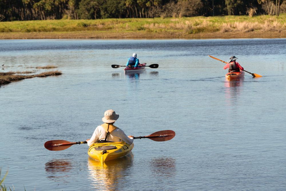 Kayaking at Myakka River State Park