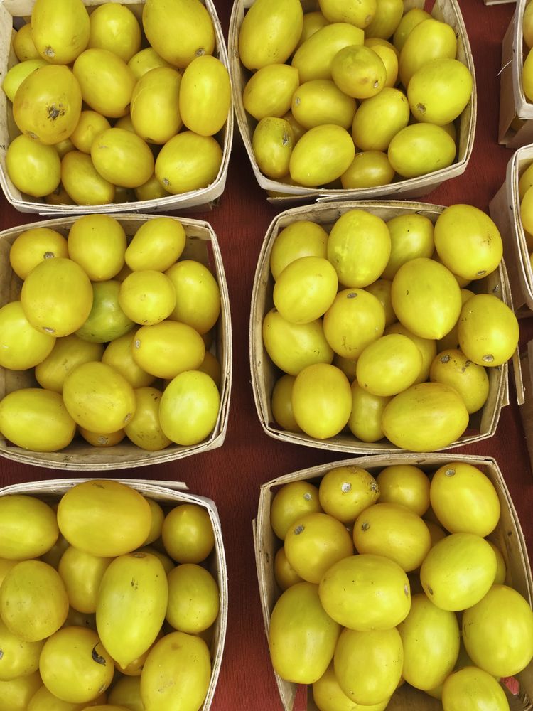 Fresh produce at Sarasota Farmers Market