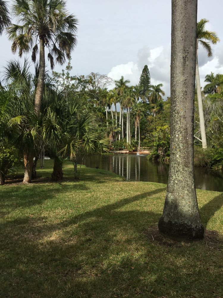 The grounds and pond of Sarasota Jungle Gardens