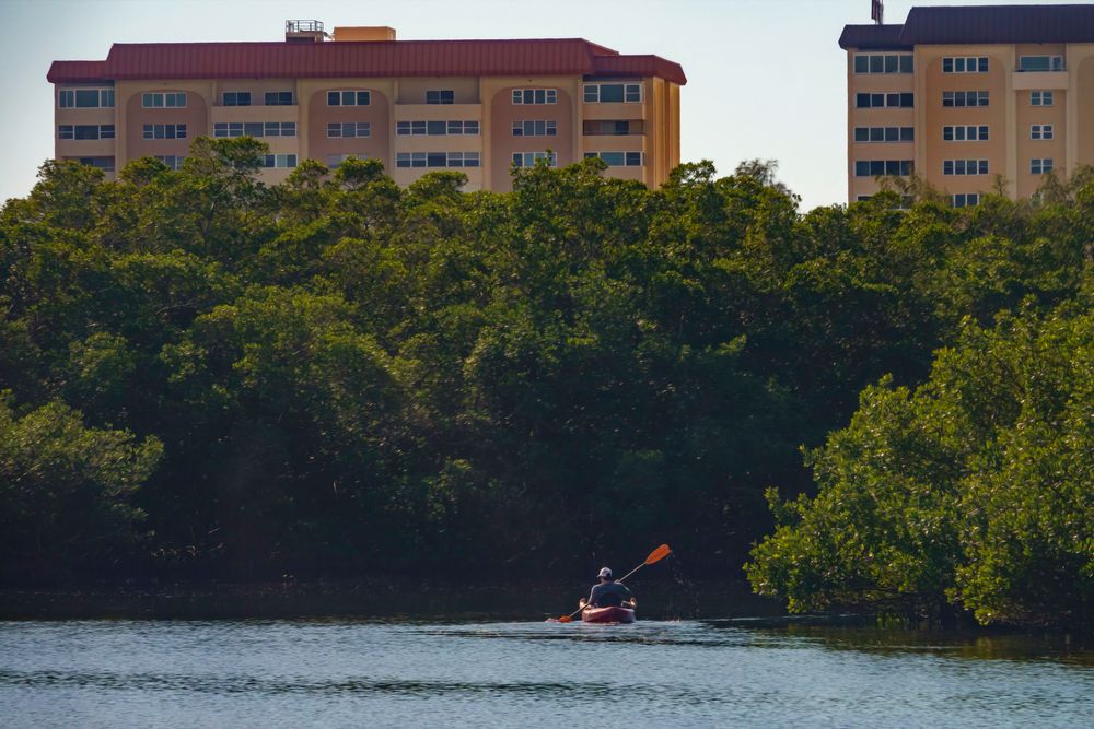 Kayaking at South Lido Park