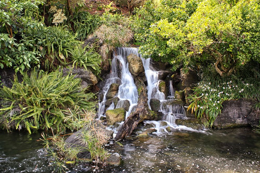 A gorgeous waterfall at Los Angeles County Arboretum and Botanic Garden