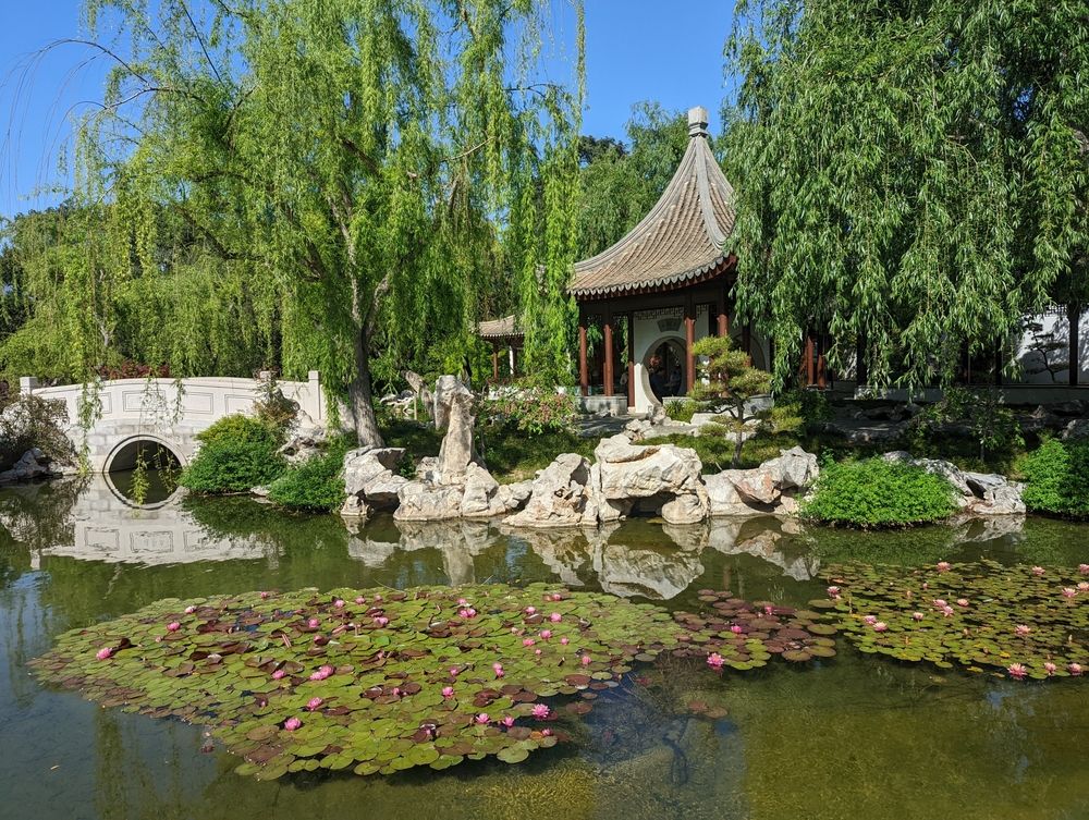 Chinese garden at The Huntington Library, Art Museum, and Botanical Gardens