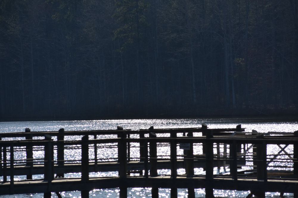 The waters of Lake McIntosh Park