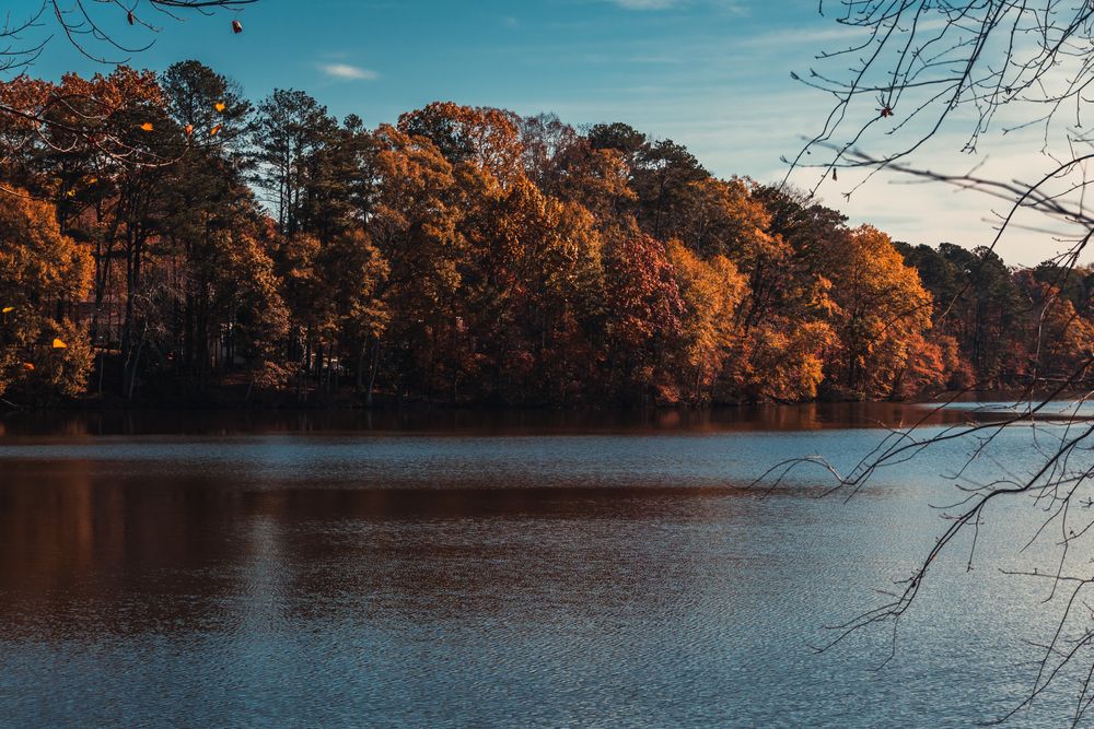 Scenic view of Lake Peachtree
