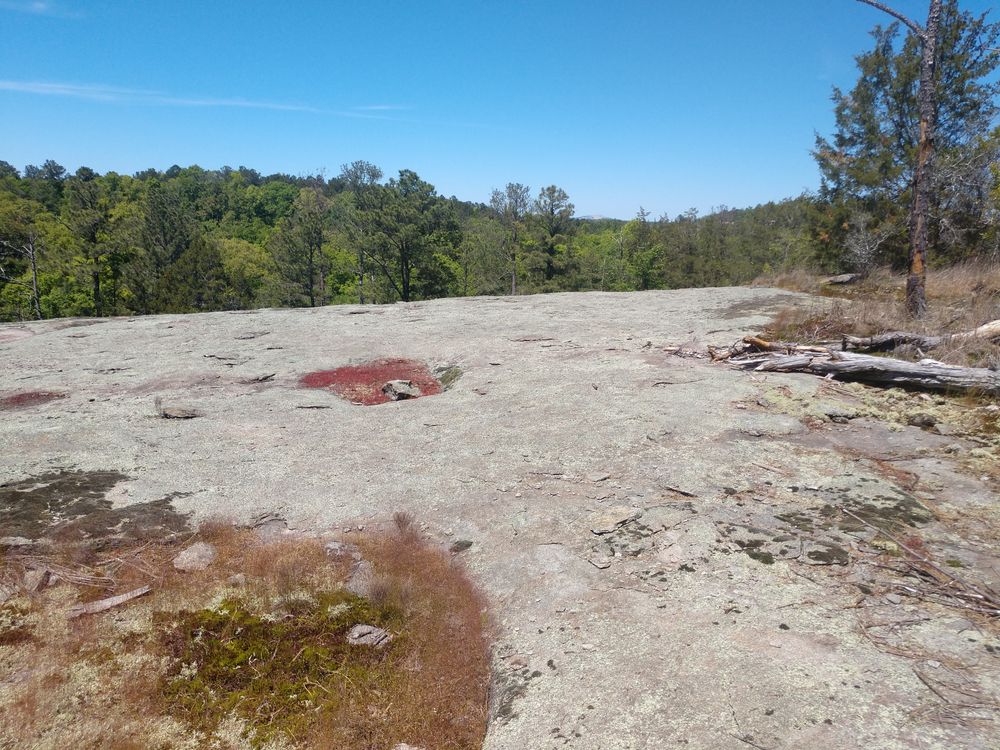 Rocky outcrop of Panola Mountain State Park