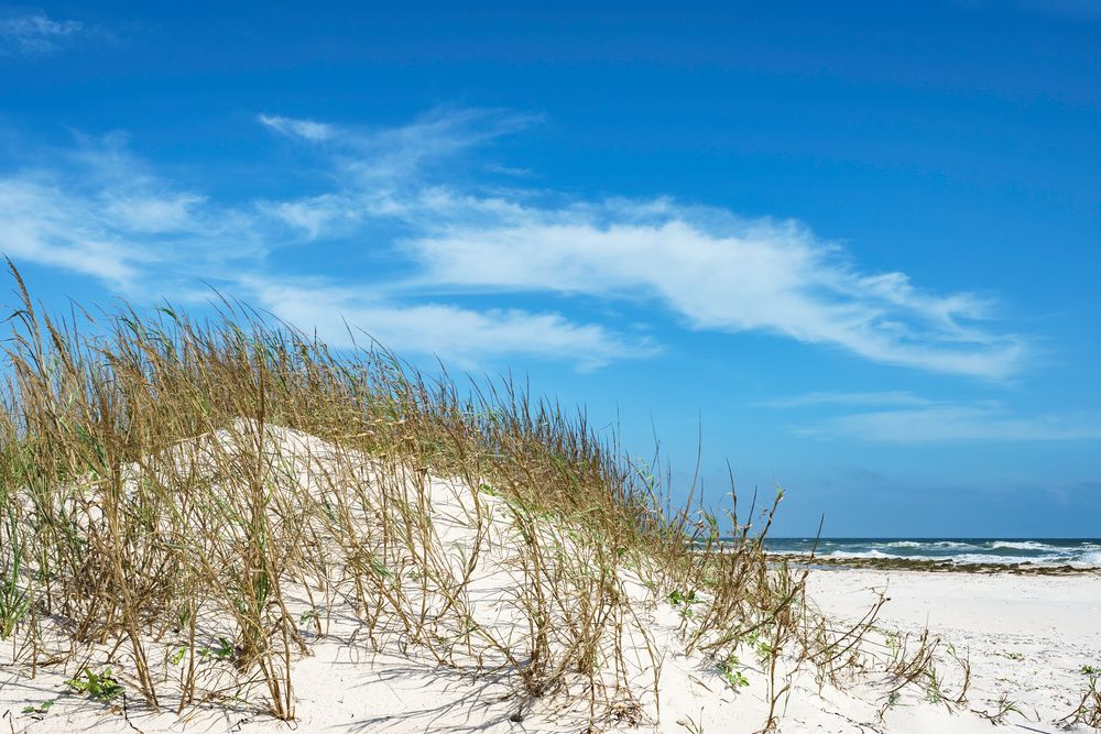 Dr. Julian G. Bruce St. George Island State Park's sand dune