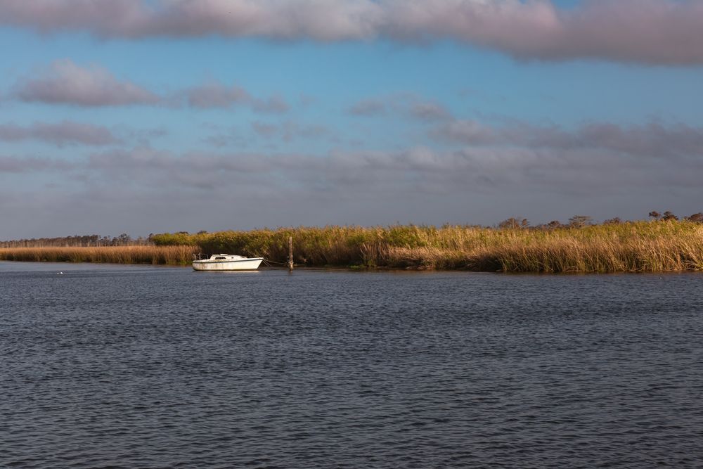 A fishing boat on St. George's waters