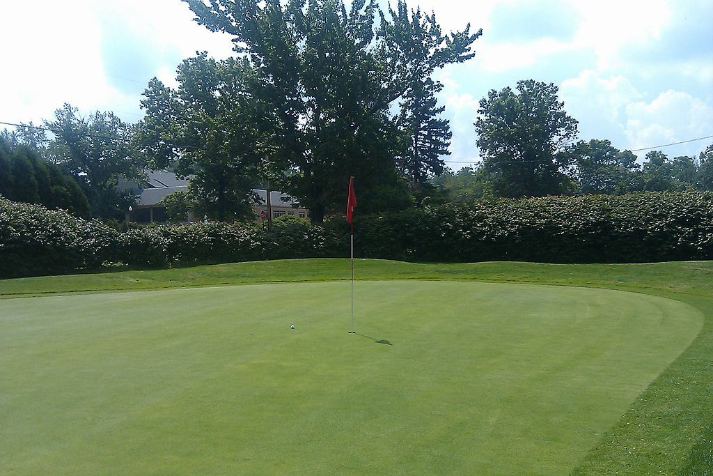 A gold hole at Buhl Farm Golf Course.