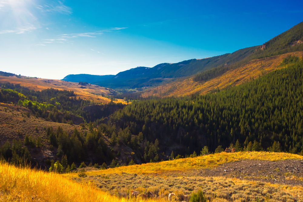 Scenic view at Big Horn National Forest
