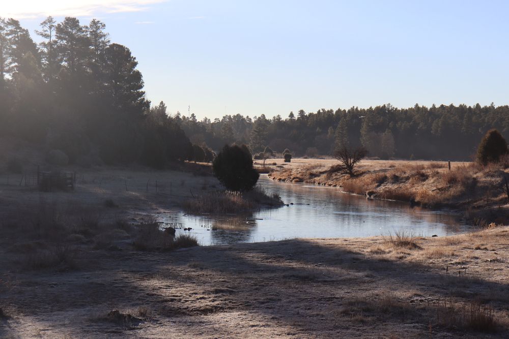 Show low lake